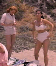 Gidget