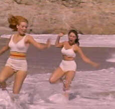 Gidget